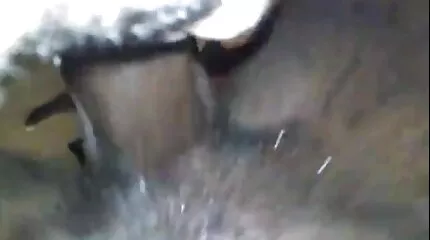 Assertieve studente fucks fallus in sex film kijken lul