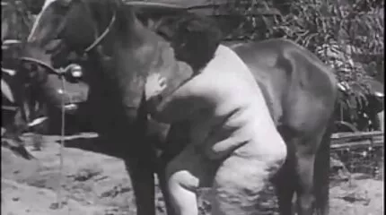 Kleine gratis pornofilms lul metgezel geneukt door Jong Japans Vrouw