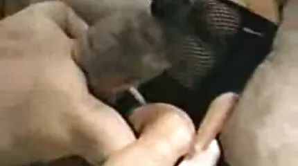 Geschoren hoofd gespierde man heeft sex film kijken een magere Tepel